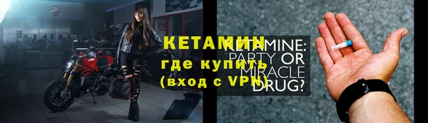 прущие грибы Балабаново