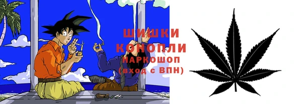 прущие грибы Балабаново