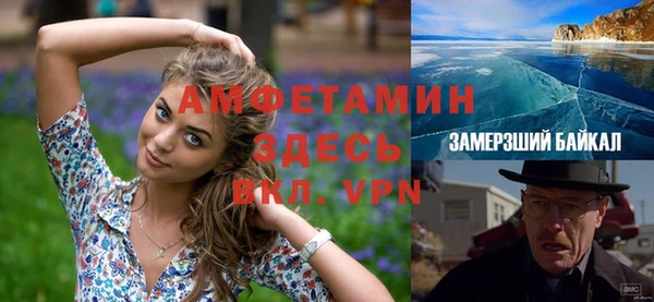 прущие грибы Балабаново
