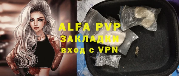 прущие грибы Балабаново