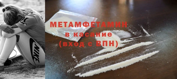 прущие грибы Балабаново